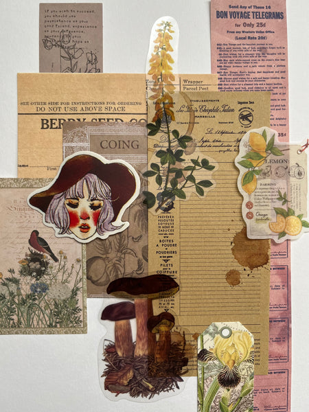 The Collage Starter Kit